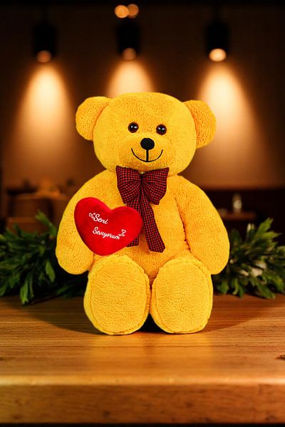 Canestar Special Design Large Plush Bear - I Love You with My Heart - the Most Special Gift for Your Lover