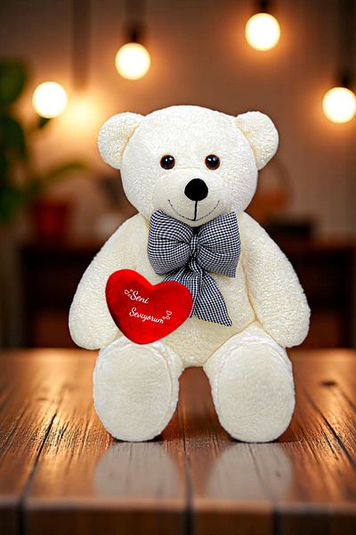 Canestar Special Design Large Plush Bear - I Love You with My Heart - the Most Special Gift for Your Lover