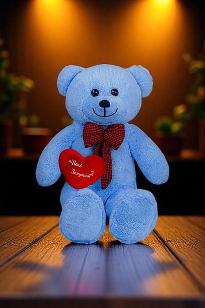 Canestar Special Design Large Plush Bear - I Love You with My Heart - the Most Special Gift for Your Lover