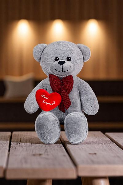 Canestar Special Design Large Plush Bear - I Love You with My Heart - the Most Special Gift for Your Lover