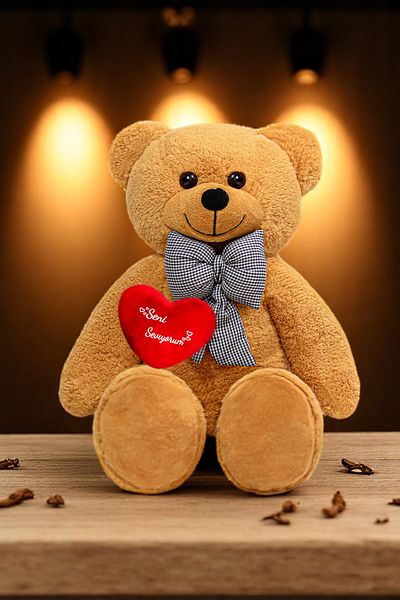 Canestar Special Design Large Plush Bear - I Love You with My Heart - the Most Special Gift for Your Lover