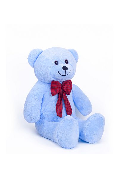 Canestar Special Design Large Plush Bear - I Love You with My Heart - the Most Special Gift for Your Lover
