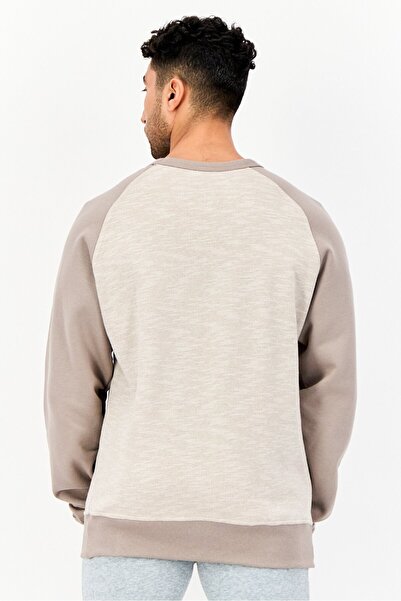 Champion Men Sportswear Fit Long Sleeves Outdoor Sweatshirt, Grey