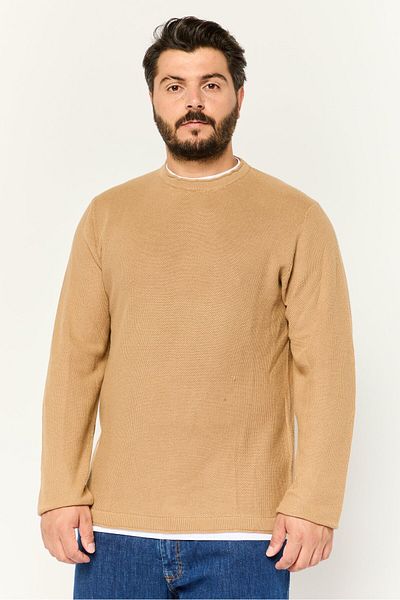 Sorbino Men Crew Neck Textured Long Sleeves Sweatshirt, Brown