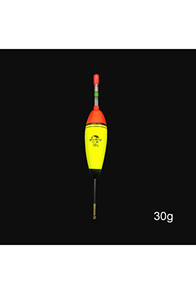 Choice عوامات صيد طويلة عمودية بإضاءة ليلية 30 جرامًا، عوامة صيد مضيئة من ماد...