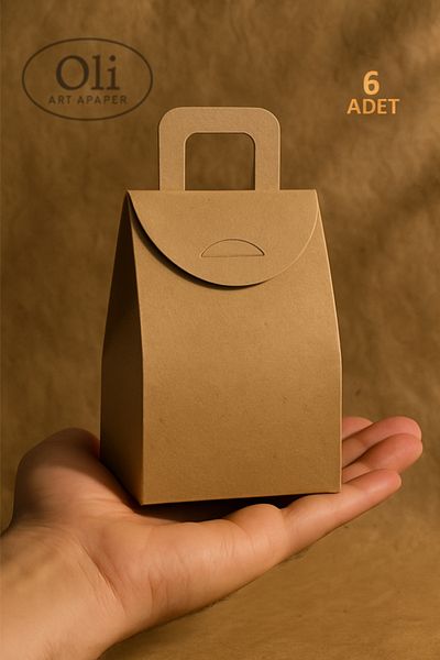 OLİ Art Large Size Handle Bag 6Pcs Kraft Handle and Henna Kraft Bag and Cookie Box