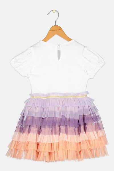 Miss Toddlers Girl Embroidered Dress, Multicolor