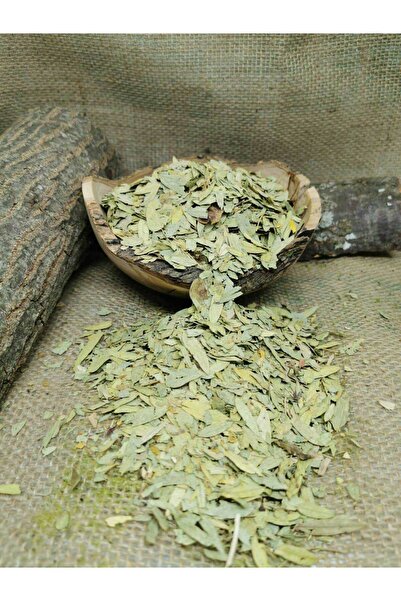 ŞİFACI GÖKÇE EFENDİ TAZE SİNAMEKİ YAPRAĞI 1 KG