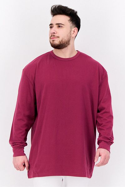 Champion Men Sportswear Fit Brand Logo Long Sleeve Outdoor Sweatshirt, Burgundy