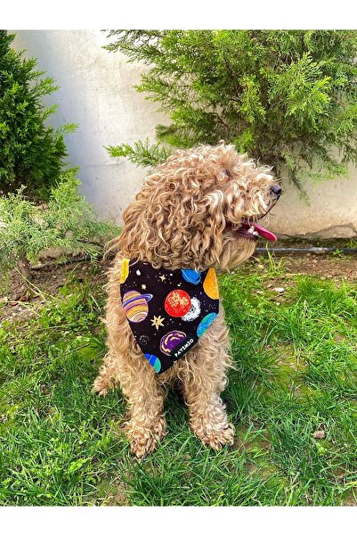 PATİMİO Space Kedi Ve Köpek Tasma Fular Bandana