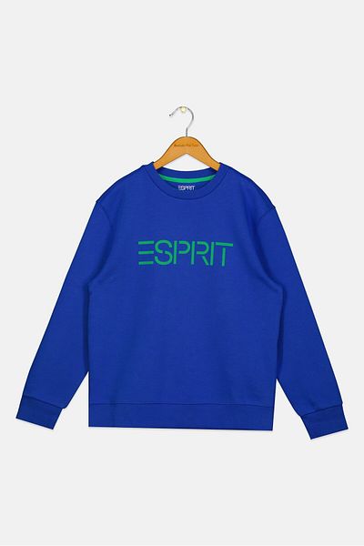 Esprit Toddlers Boy Brand Logo Sweatshirts, Dark Blue