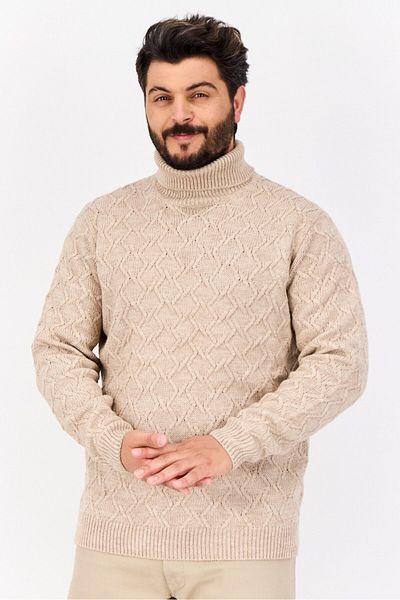 Sorbino Men Turtle Neck Textured Long Sleeves Sweater, Tan