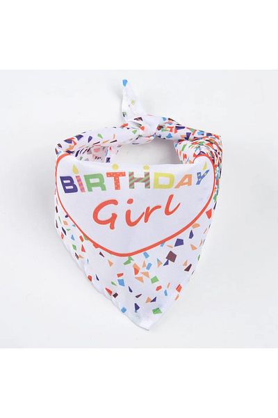 Choice Triangle scarf girl Dog Birthday Cake Toy Soft Plush Squeaky with Colourful Candles Durable Funny St