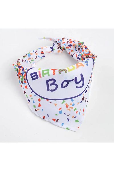Choice Triangle scarf boy Dog Birthday Cake Toy Soft Plush Squeaky with Colourful Candles Durable Funny Stu