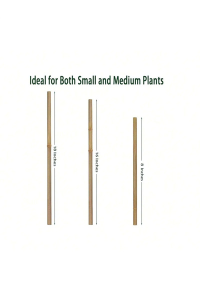 Choice5 20 قطعة من أوتاد بامبو للحدائق، بطول 18 بوصة، صديقة للبيئة، مناسبة لن...