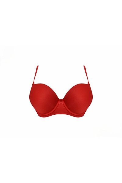 Liza 2010 Underwire Double Support Bra