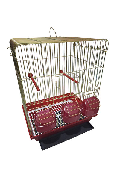 KAYA KAFES VE PETSHOP ÜRÜNLERİ 300 SERİ ORTA BOY SARI PASLANMAZ KAFES