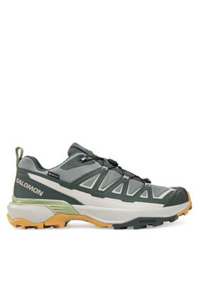 Salomon men's trekking L47816700 gray