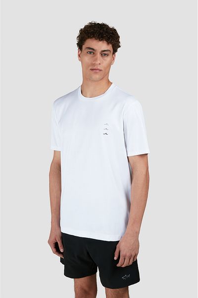 PAUL&SHARK Cotton t Shirt