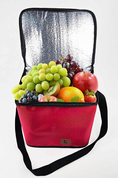woys 30 Liters Red Thermal Thermos Cooler Bag - 1 Ice Battery Gift