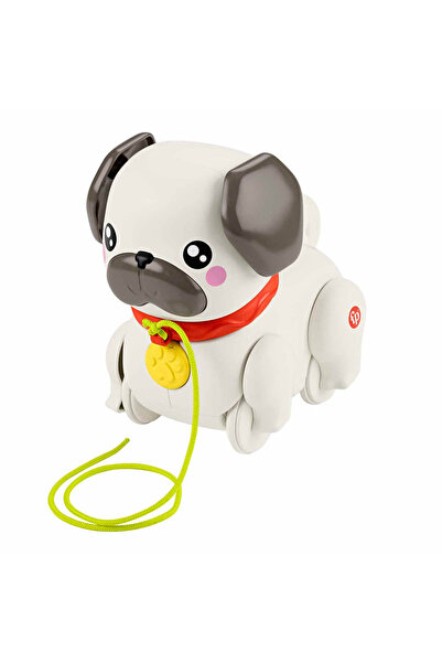 FISHER PRICE Sesli Minik Dostumla Yürüyüş HTW94