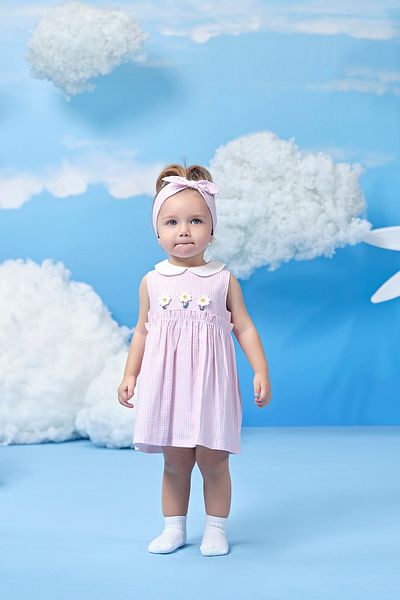 Miny Center Gingham Daisy Stripe Baby Girl Dress