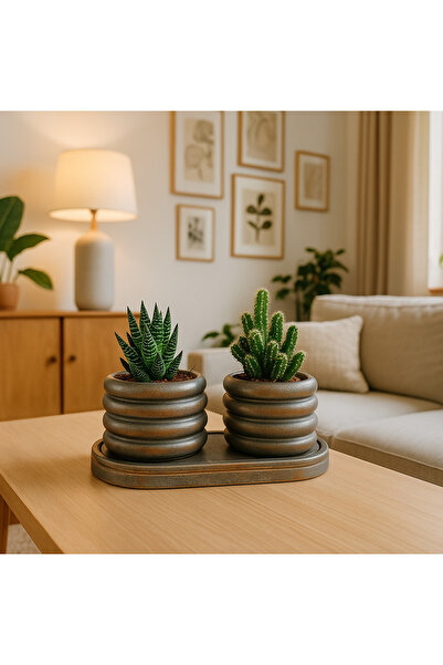 Home 3'lü Desenli Sukulent ve Kaktüs Saksı Seti