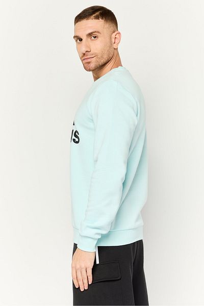 adidas Men Sportswear Fit Long Sleeves Outdoor Sweatshirt, Light Blue