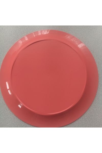 Tupperware Serving plate