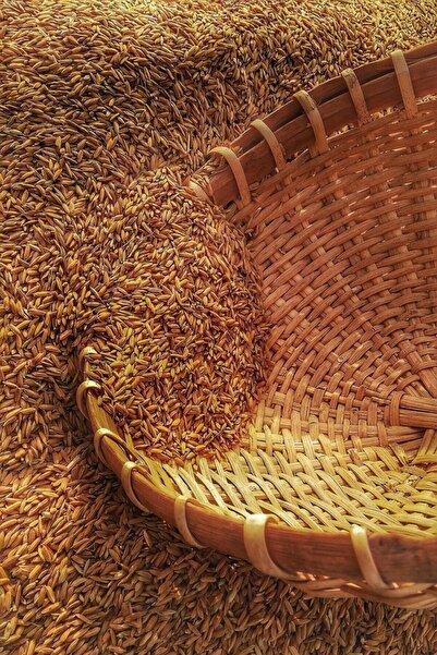 Ege Gübre Dap Gübresi Np 18.46.0 Diamonyum - 25 Kg Tartılıp Başka Ambalajda Gönderilecektir
