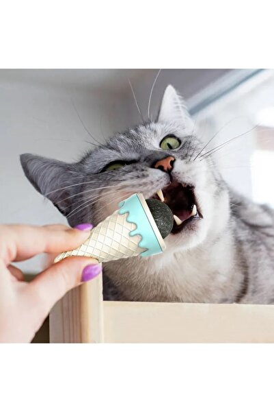MEKs Ice Cream-Shaped Catnip Cat Grass