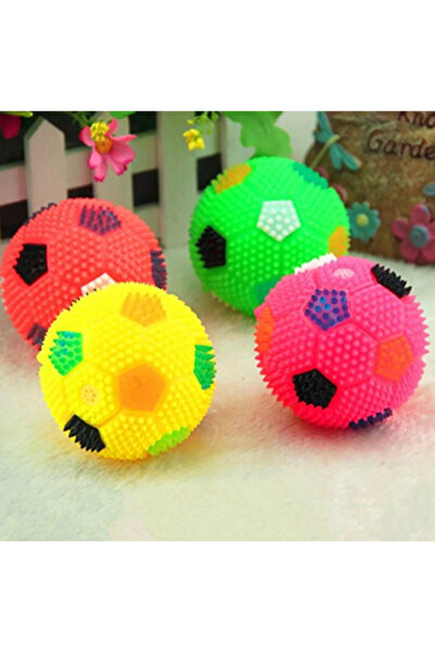 mywarehouse Işıklı Sesli Kedi Ve Köpek Topu