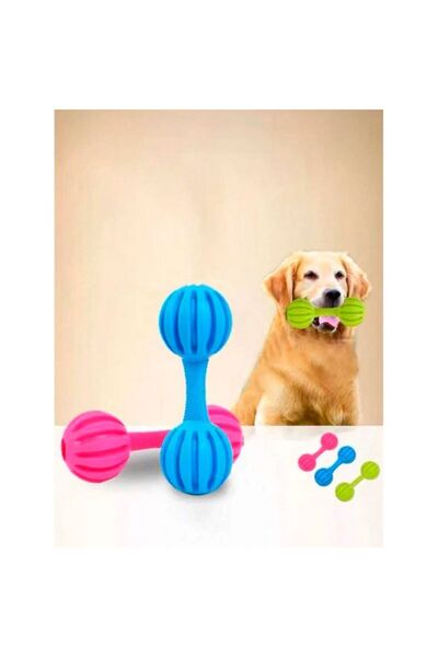 TTT Rattle Pet Toy