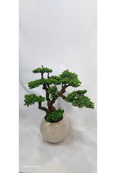 İremÇiçekçilik Karbonfiber Küre saksıda doğal Bonsai