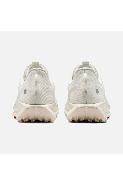 Nike Pegasus Trail 5 Trail-Running DV3864-003