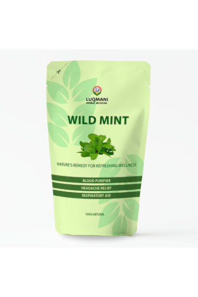 LUQMAN عبوة من النعناع البري ١٢٠ جرامًا تساعد في علاج الحمى وآلام المعدة وعسر...