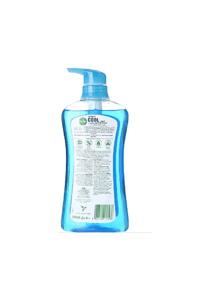 Dettol Dettol Cool Mint & Menthol Body Wash - 500ml