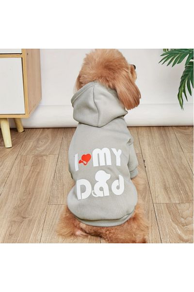 Proxy Paws Gray Dog Sweatshirt for All Seasons