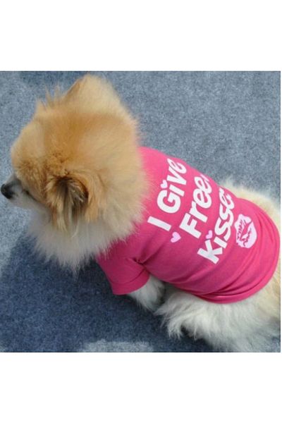 Proxy Paws Summer Colorful Tshirt for Small Size Dogs