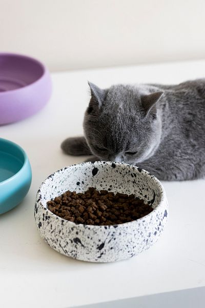 Beige & Stone Ceramic Handmade Food / Water Bowl (S) - Speckled 14 cm