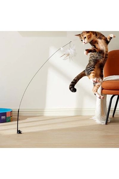 Store Cat Play Rod with Suction Cup and Feather Bell