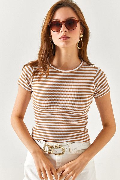 Olalook Women's Camel Striped Lycra Crop Blouse BLZ-19002351
