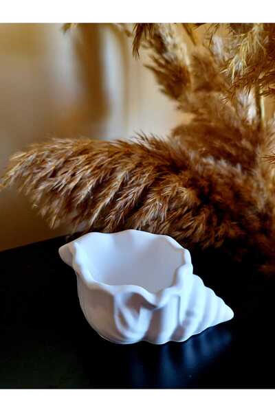 Dekor 2 Adet Deniz Kabuğu Mumluk - Şamdan - Deniz Kabuğu Sunumluk & Atif Obje...