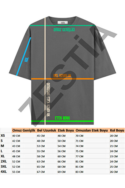 Zestia Unisex T-Shirt, Boho Vibe Back Printed, Regular, 100% Cotton, Anthracite T-Shirt No: 0260