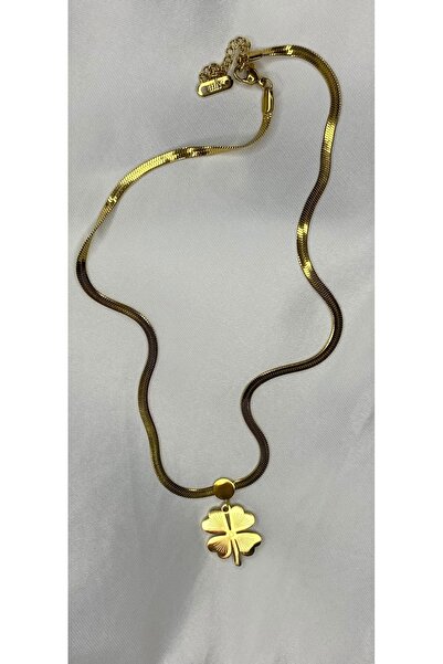 nss sky rock سلسلة كلوفر ياتس من الفولاذ الذهبي غير المشوه