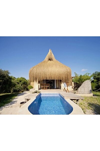 Eaves Grass Tassel Grass Decorative Grass Chinese Grass Ground Clearance 1.20 Meters X Length 2 Meters