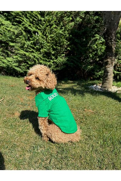 salya store Good Vibes - Linen Summer Dog Shirt Green (Small Breeds)