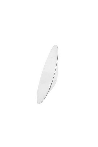 NEZADE STORE Elizabet Transparent Bird Collar 3.75 cm-10 cm Standard