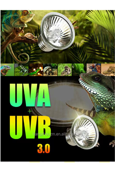 KORHAN TEKNİK Uva- Uvb 3.0 Sürüngen Kaplumbağa Lambası 25w 2 Adet