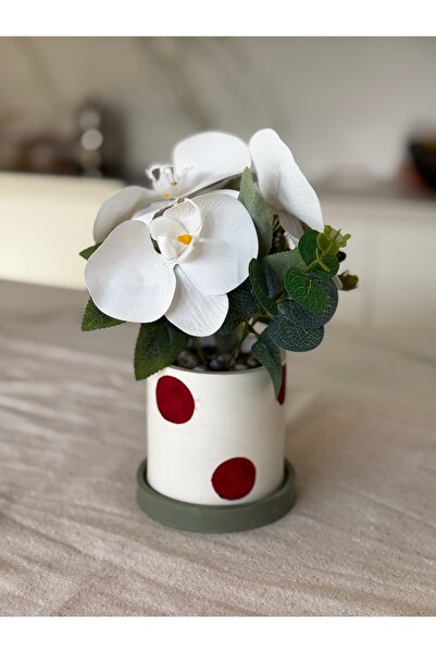 Genel Markalar Dekoratif Tabaklı Beton Saksıda Orkide ve Okaliptus Aranjmanı